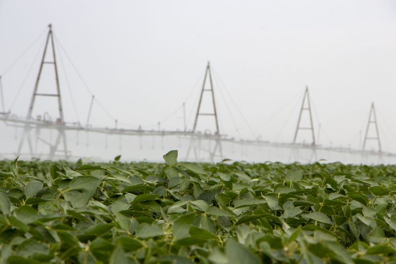 Commercial Irrigation Service in Ventura County, CA