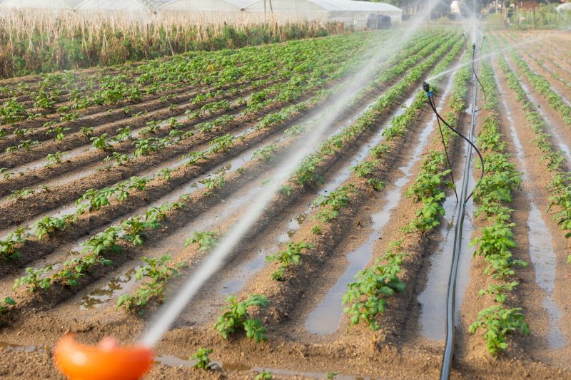 Field Irrigation Installation in Honolulu, HI