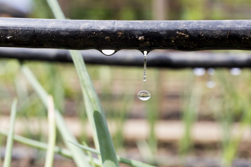 Irrigation Installation in Honolulu, HI
