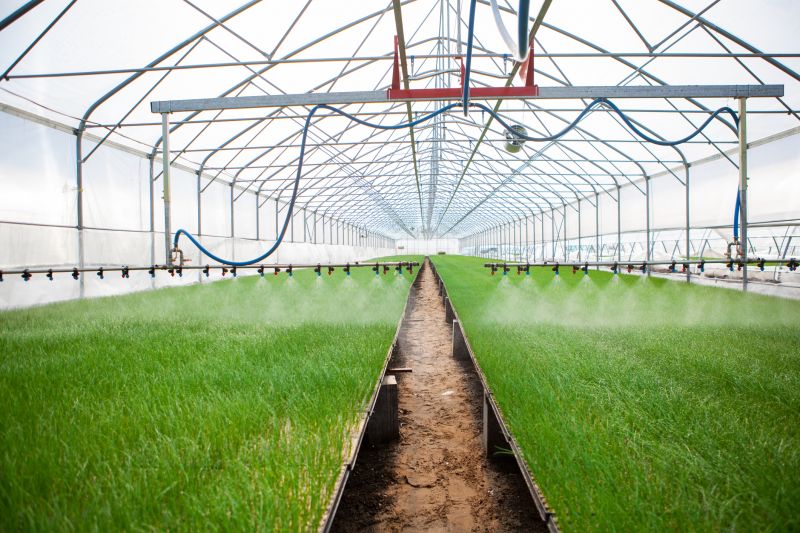 Plant Irrigation Installation in Honolulu, HI