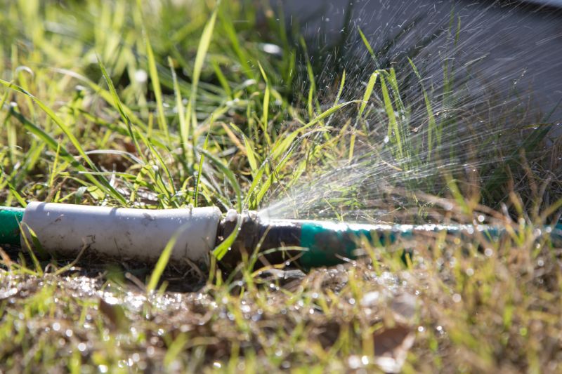 Sprinkler Head Repair in Honolulu, HI