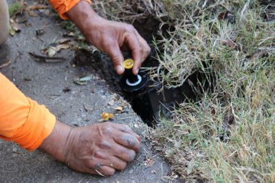 Sprinkler Blowout Service in Carson City, NV